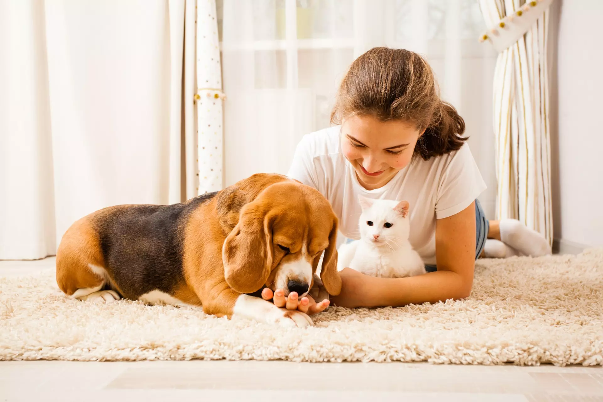 Veterinary Hospital in Prior Lake, MN
