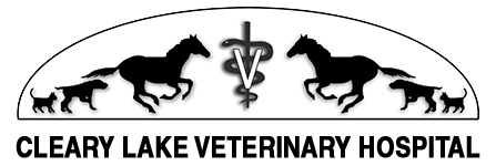 Cleary Lake Veterinary Hospital