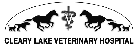 Cleary Lake Veterinary Hospital