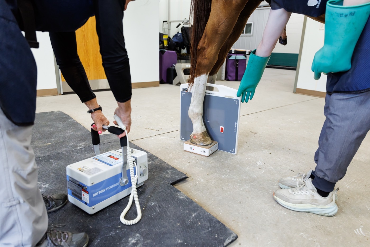 A handheld X-ray generator and flat-panel detector positioned at a horse&rsquo;s lower foreleg