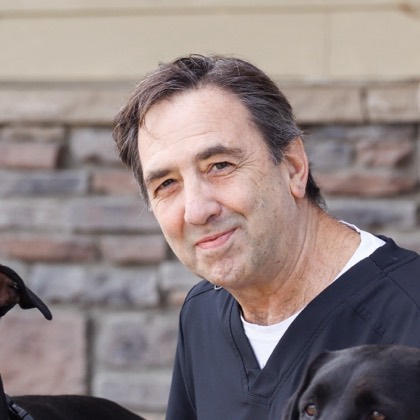 Mark Stavros, D.V.M.