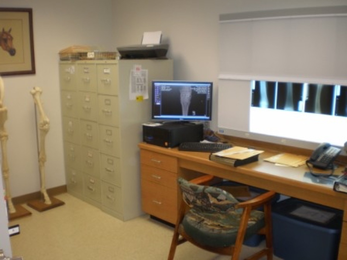 Equine radiology office