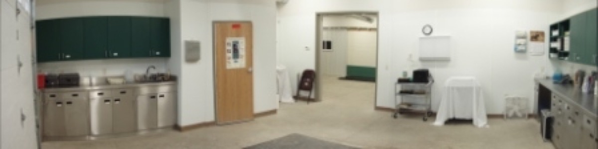 Equine surgical prep area