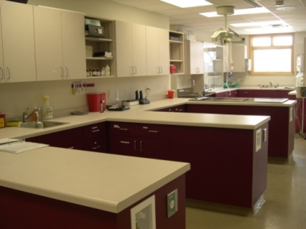 Treatment and lab area